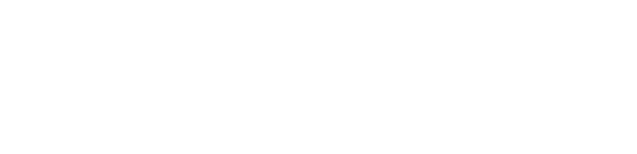 Rvzsoft